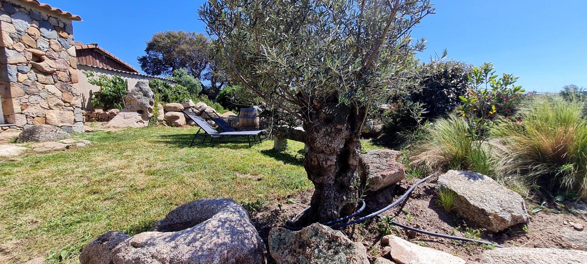 Bergerie A Sapara Pianottoli-Caldarello  Luaran gambar