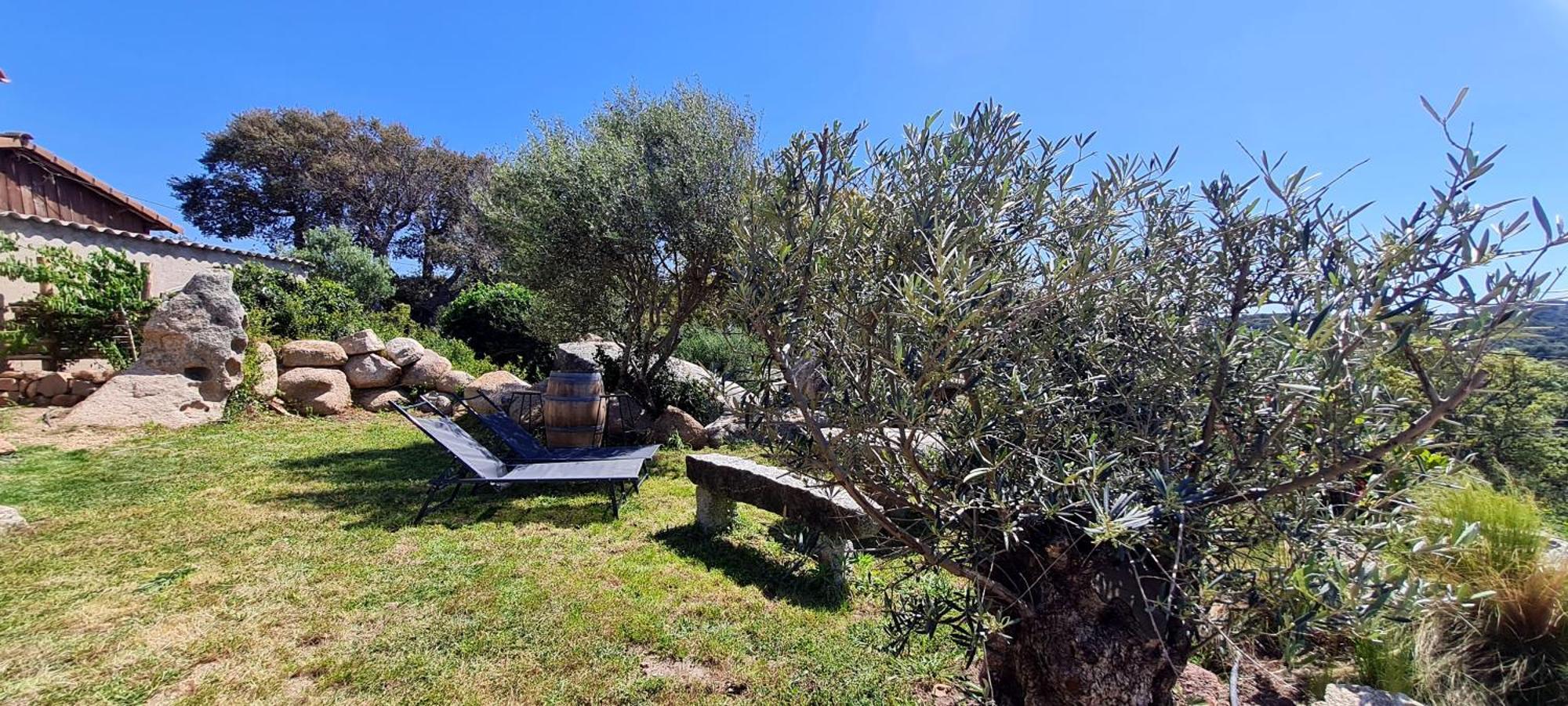 Bergerie A Sapara Pianottoli-Caldarello  Luaran gambar